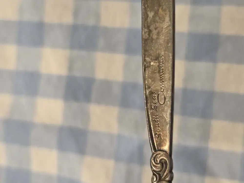 Vintage Silver Plated Spoon Oneida Community South Seas Pattern Souvenir